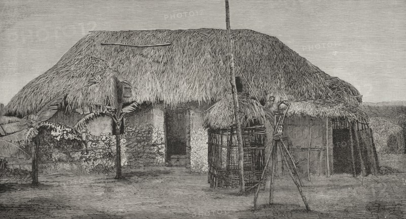 History of Africa