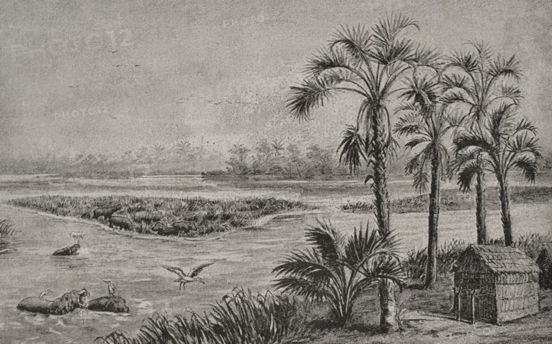 History of Africa