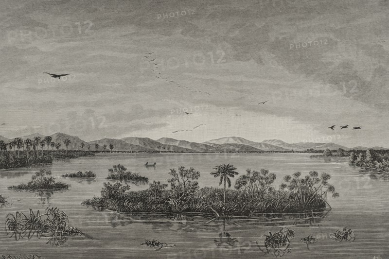 History of Africa