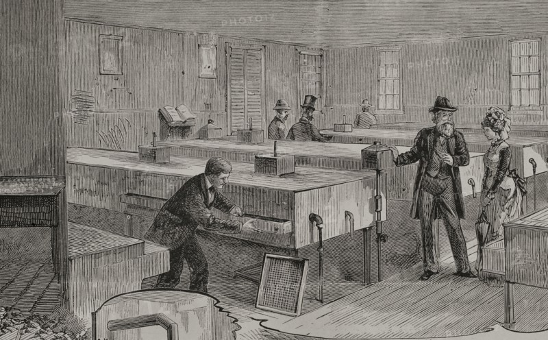 Artificial hatching of hen eggs by the Baker method