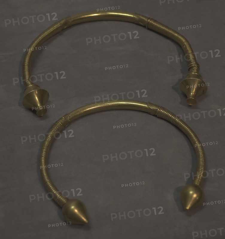 Torcs of the Castro of San Lourenzo Pastor