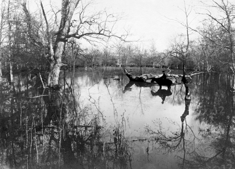 italy, tuscany, maremma, marsiliana, hunter 1897