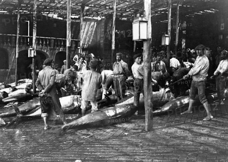 italy, sicily, acireale, gutting tuna fishes 1800-1900