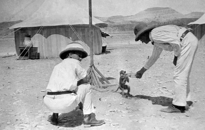 egypt, red sea coast, 1912