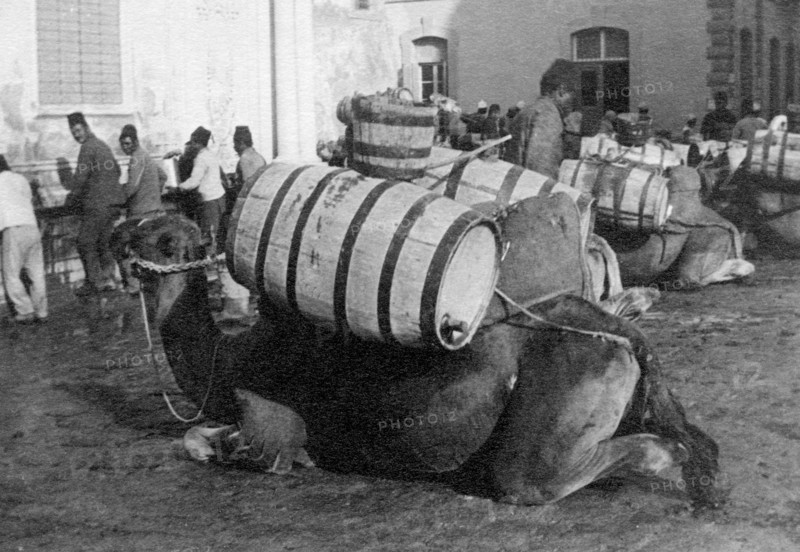 north africa, libya, tripoli, 1910
