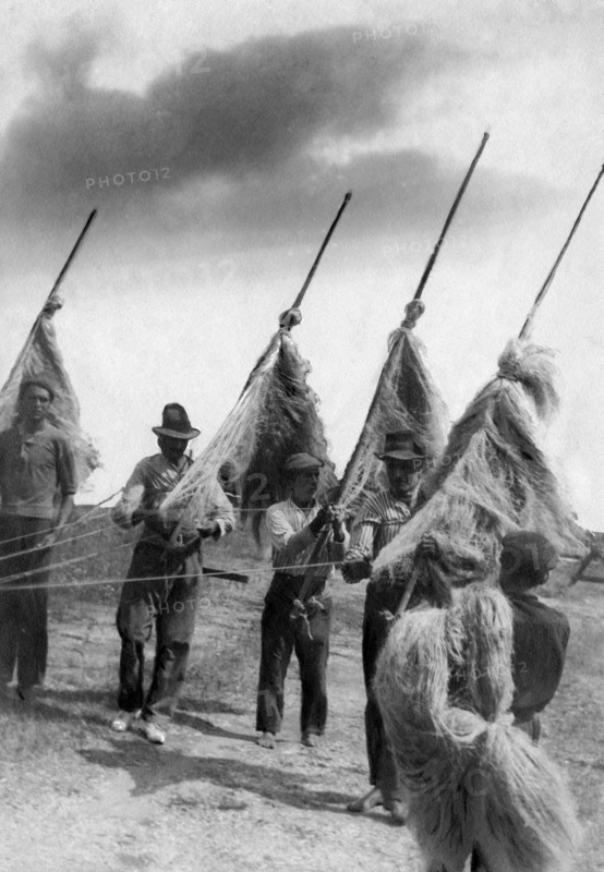 italy, tuscany, hemp making