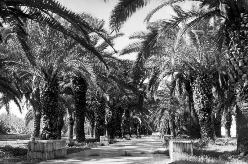 italy, naples, mostra d'oltremare