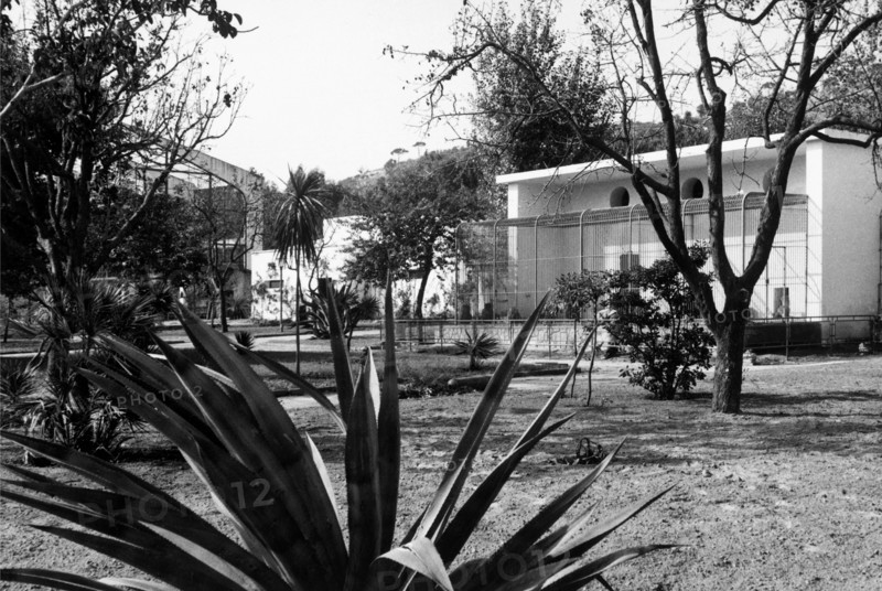 europe, italy, naples, mostra d'oltremare, zoo