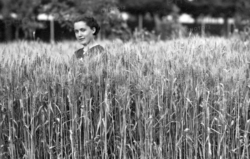 farmer, 1936