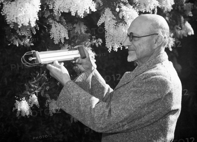 italy, liguria, sanremo, instrument of measurement, 1949