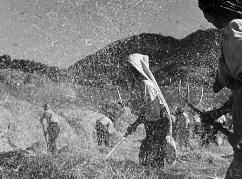 agriculture, separation of straw corns and chaff, 1930-1940