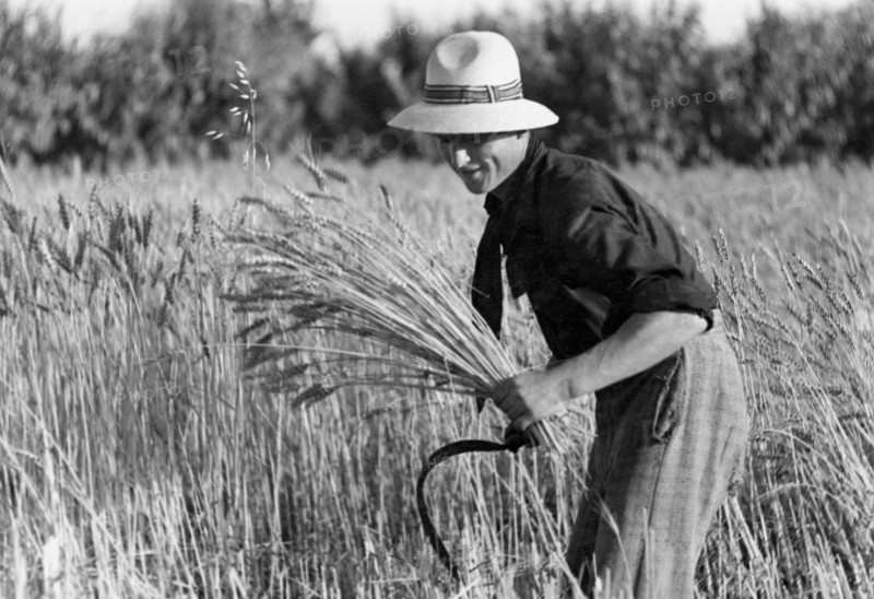 farmer, 1930-1940