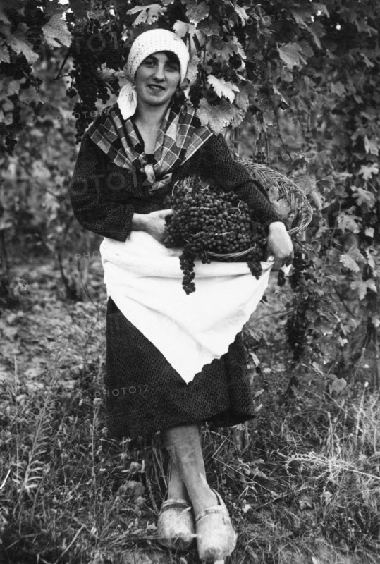 italy, monferrato, grape harvest, 1930-40