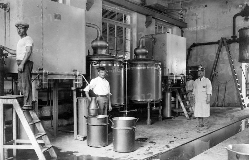industry of vallecrosia, industry of perfumes, 1910-1920