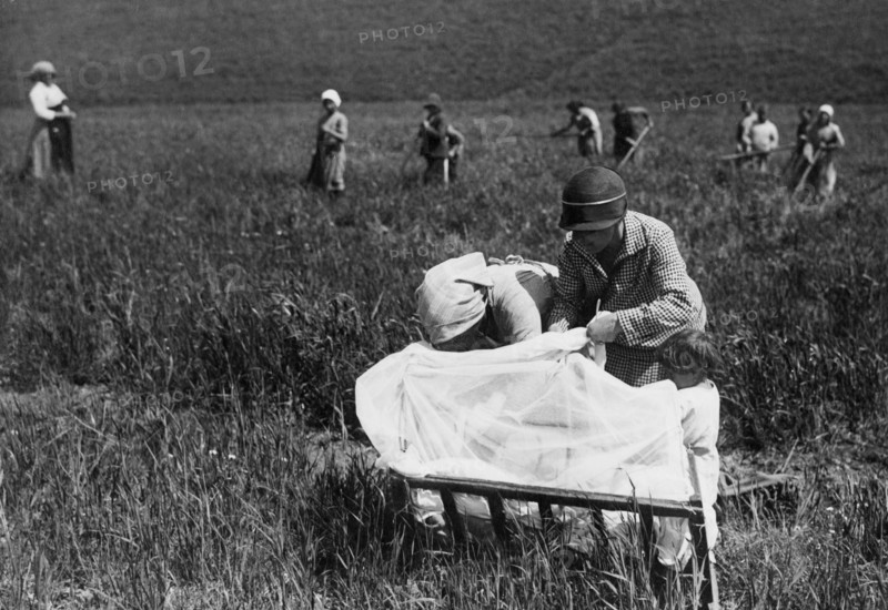 lotta alla malaria, lattante protetto dall'insidia delle zanzare in un campo di grano, luglio 1926