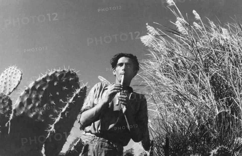 berger, joueur de flûte, 1949