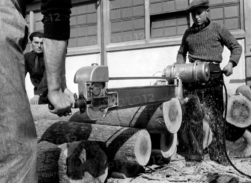 Ouvriers coupant du bois de peuplier, 1956