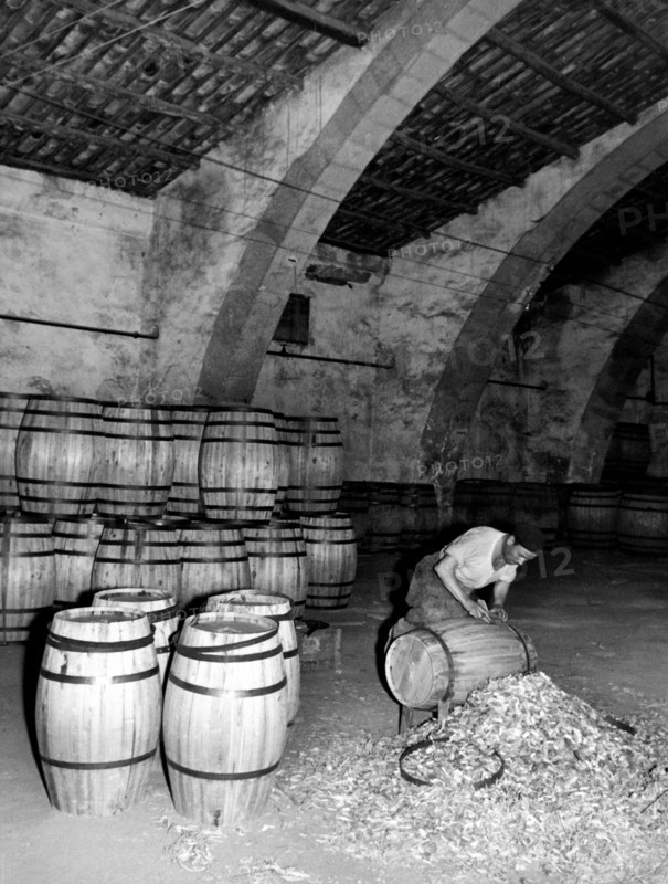 préparation de tonneaux pour le marsala, 1955