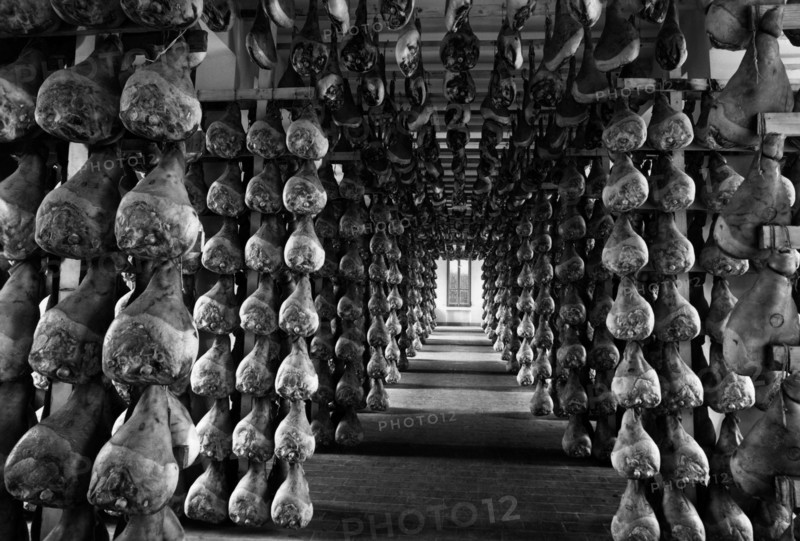 mat mat maturation des hams à langhirano, 1964 mat mat maturation des hams à langhirano, 1964