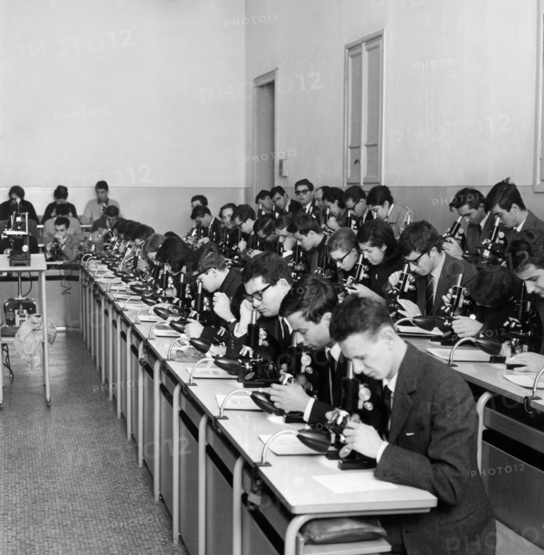 italie, lombardie, milan, étudiants en médecine au microscope, 1965