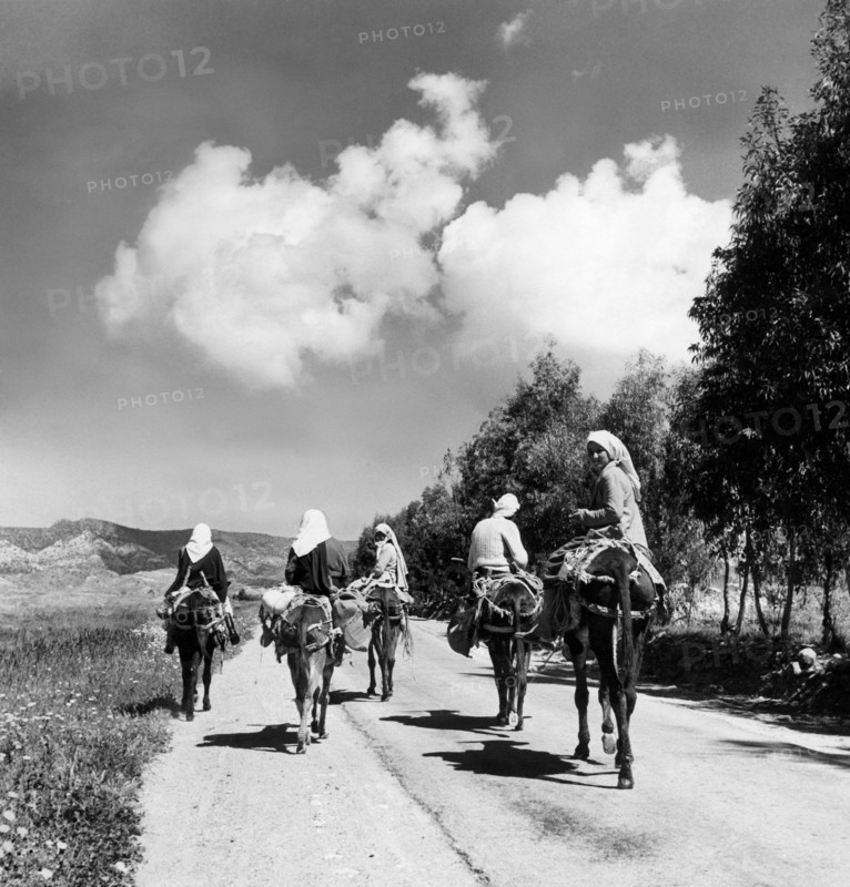 chypre, une route de campagne, 1956