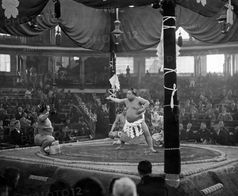 japon, une scène de lutteurs sumo, 1930 1940