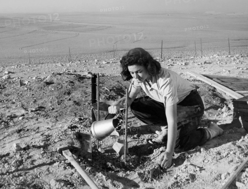 moyen-orient, israël, negev, agriculture dans le désert, 1950 1960