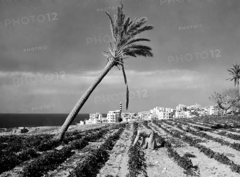 moyen-orient, liban, beyrouth, vue du sud de la ville, 1961
