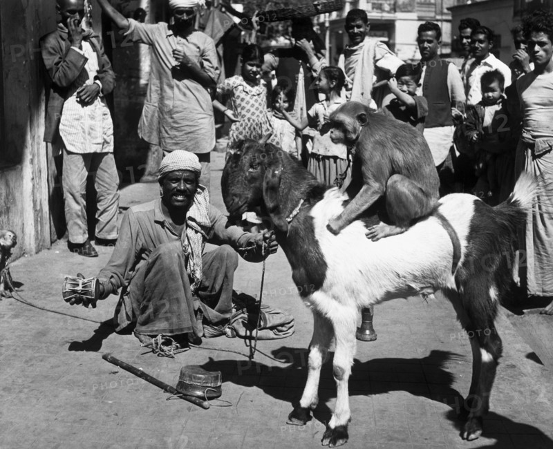 asie, inde, calcutta, jongleurs dans les rues, 1964