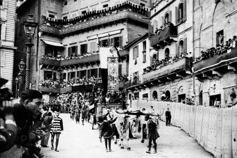 europe, italie, toscane, sienne, la parade du carroccio pendant le palio, 1910 1920