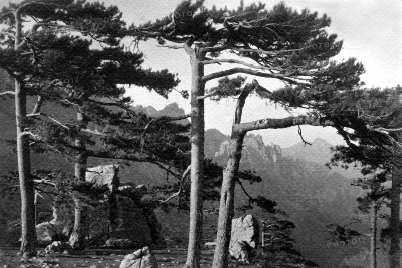 europe, france, corse, brando, grottes, 1910 1920