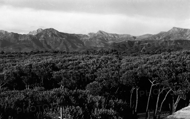 europe, italie, toscane, la pinède de viareggio, 1946