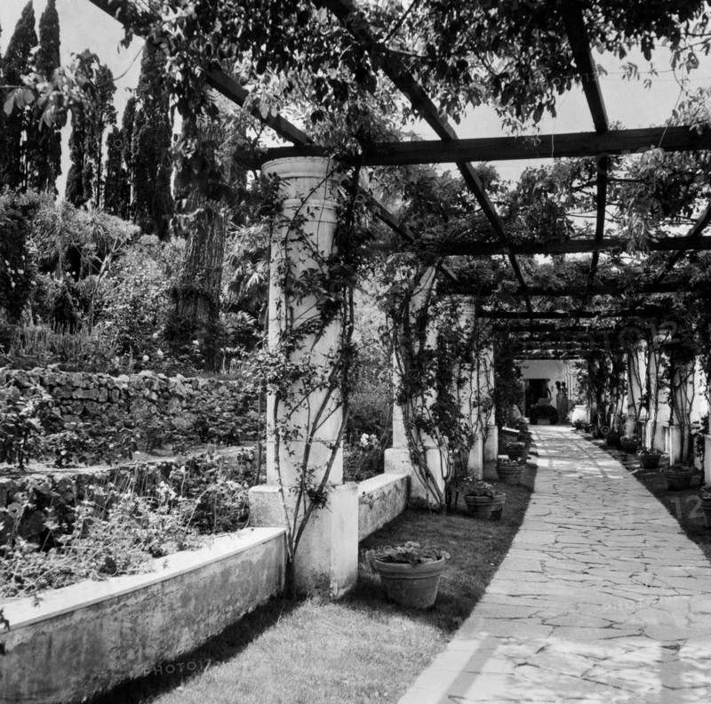 italie, campanie, île de capri, vue du jardin de la villa san michela à anacapri, 1968