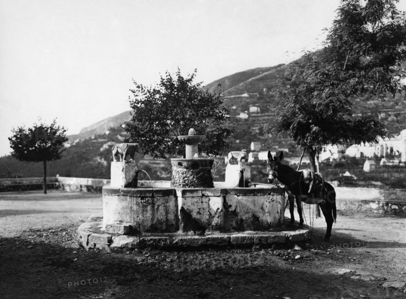 italie, campanie, ravello, âne au printemps, 1930