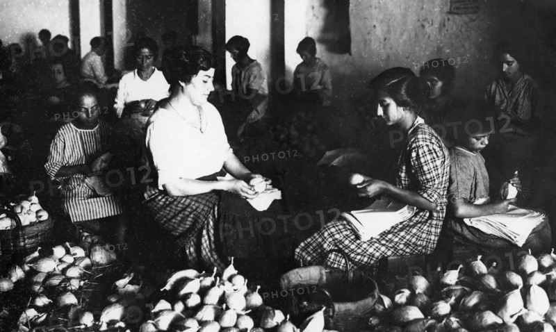 italie, campanie, emballage de citrons, 1930 1940