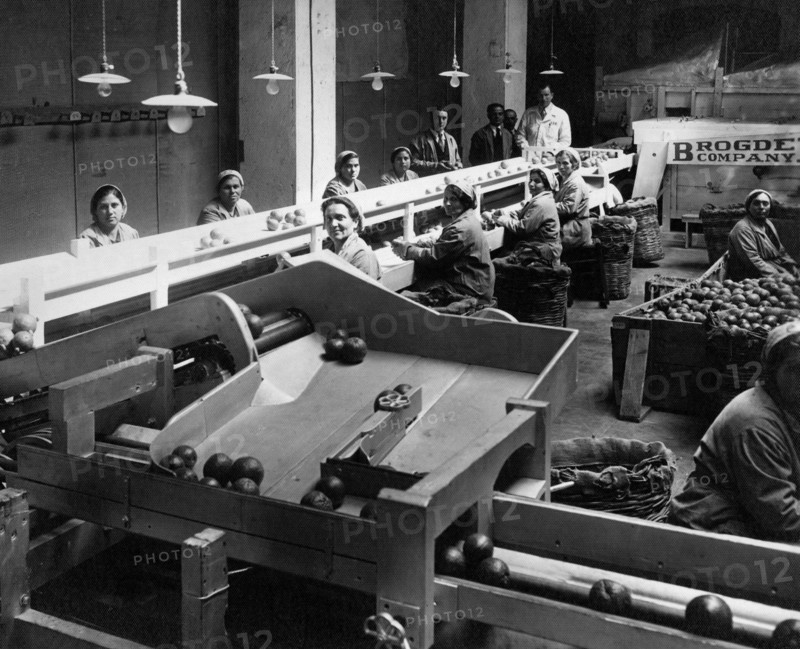 italie, sicile, catane, industrie alimentaire, transformation des fruits, années 1920