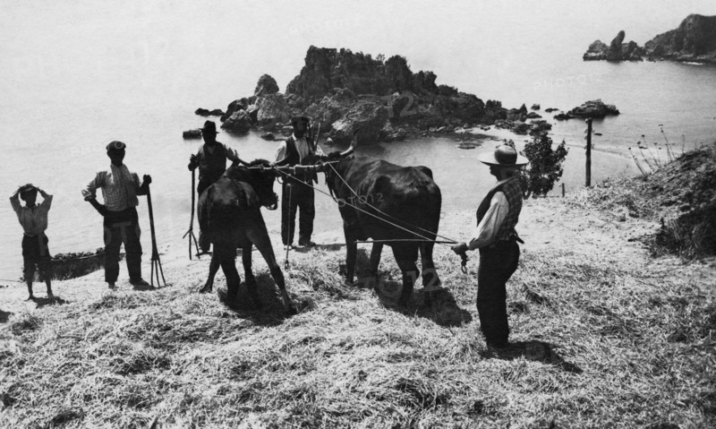italie, sicile, taormine, groupe d'agriculteurs, au pied de l'isola bella, années 1920