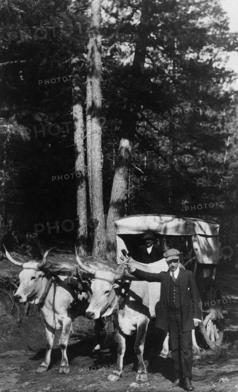europe, italie, calabre, voyageurs dans les montagnes de la sila, 1920 1930