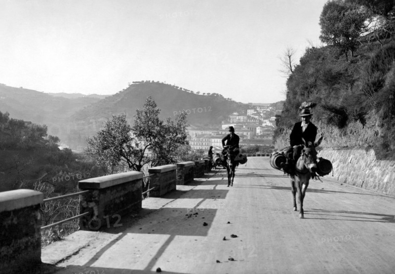 europe, italie, calabre, cosenza, utilisation de mules comme moyen de transport, 1934
