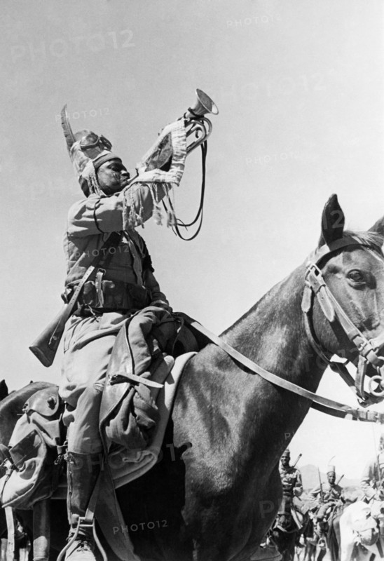 afrique, eritrea, assemblée de cavalerie, 1920 1930