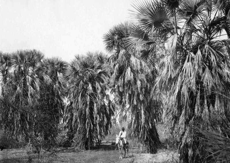 afrique, eritrea, le fleuve gascon, 1920 1930