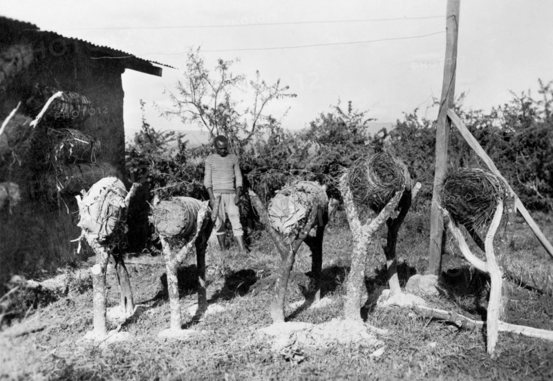 afrique, éthiopie, ruches, 1920 1930