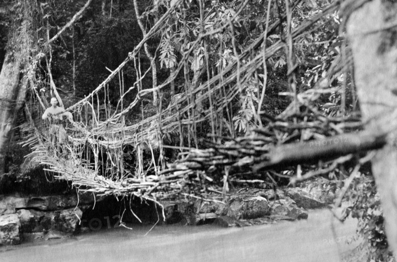 afrique, congo belge, traversée de l'inkissi sur un pont de liane, 1920