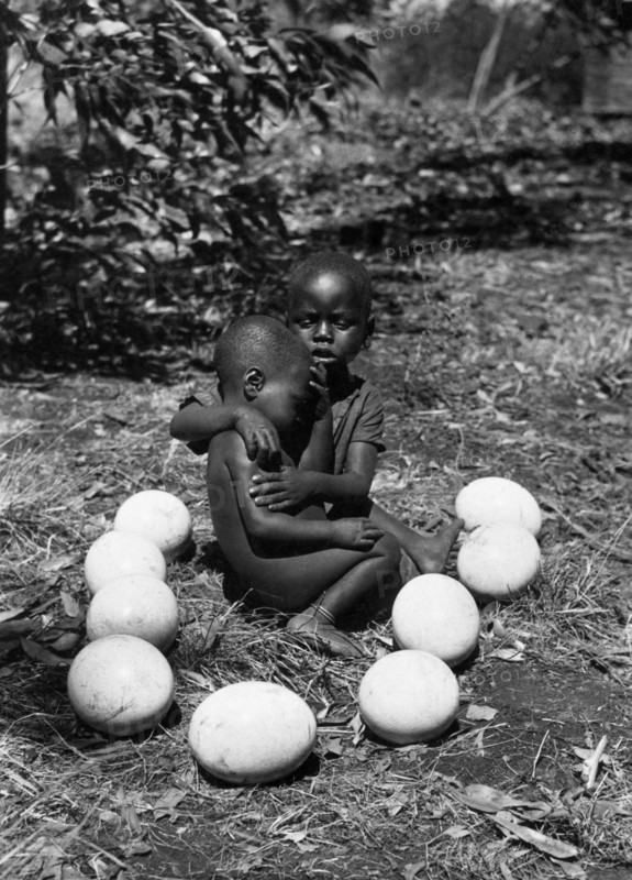 afrique, kenya, enfants indigènes parmi des œufs d'autruche, 1920 1930