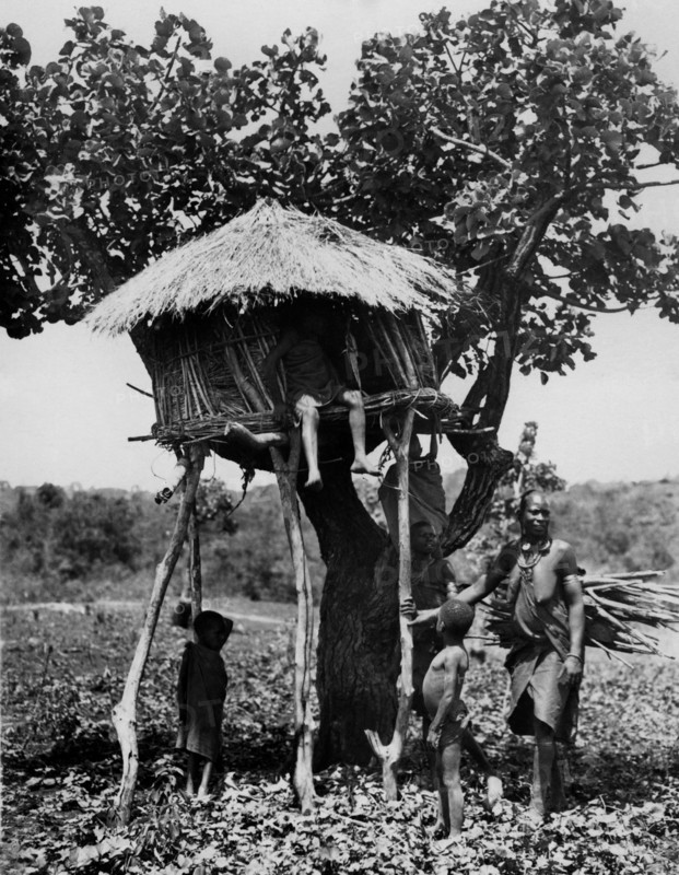 afrique, kenya, une cabane dans un arbre, 1930