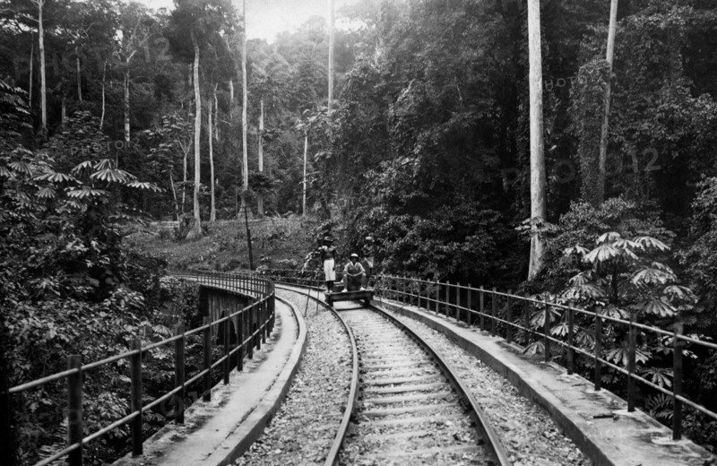 afrique, congo belge, le long du chemin de fer congo - océan à travers la forêt équatoriale, 1935