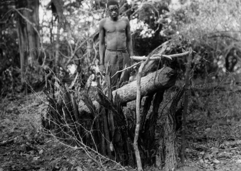 afrique, congo belge, piège à léopard, 1927 1930