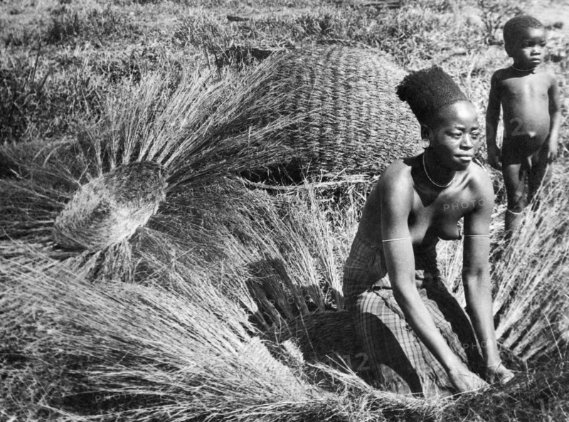 afrique, afrique du sud, zululand, vannier, 1920 1930