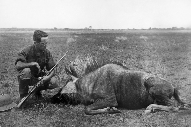 afrique, rhodésie du nord, explorateur avec une grande antilope qu'il a abattue, 1920 1930