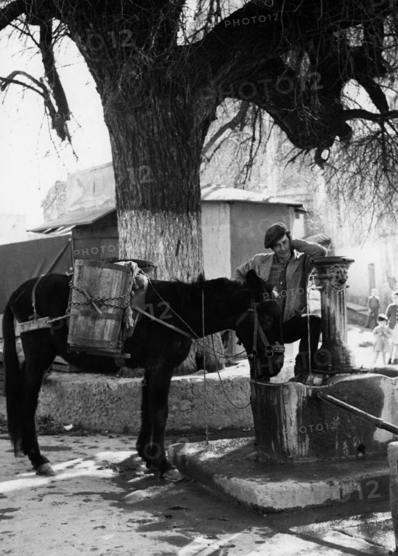 europa, italy, calabria, oriolo, homme avec mule à la fontaine, 1961